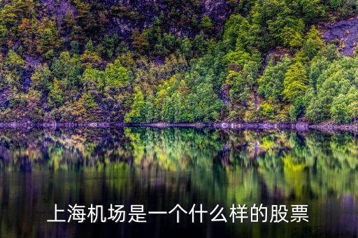 上海機(jī)場(chǎng)股票屬于什么股票，上海機(jī)場(chǎng)屬于什么行業(yè)的股票