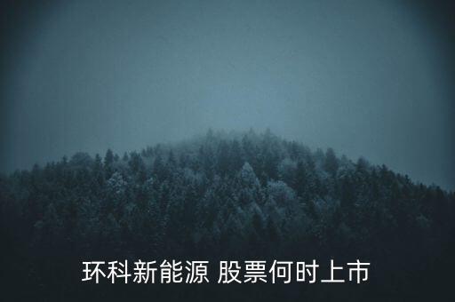 新能源股票什么時(shí)候上市呢，環(huán)科新能源 股票何時(shí)上市