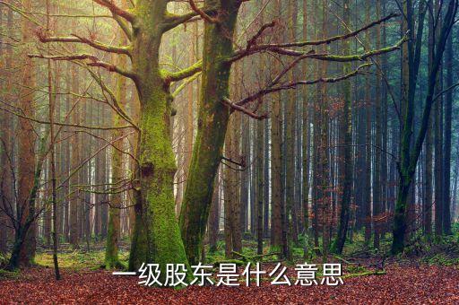 二級(jí)股東是什么意思，兩級(jí)股權(quán)結(jié)構(gòu)