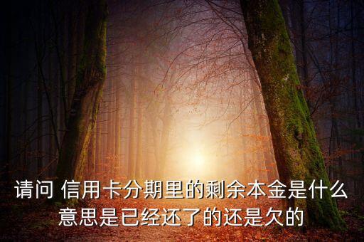 分期付息的本金是什么，請(qǐng)問(wèn) 信用卡分期里的剩余本金是什么意思是已經(jīng)還了的還是欠的