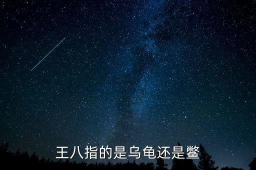海王八指什么，什么是海王八