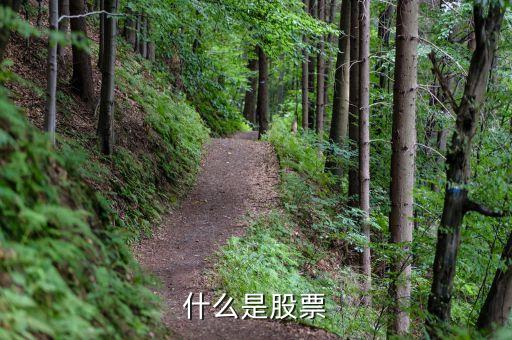 什么事股票，什么是股票