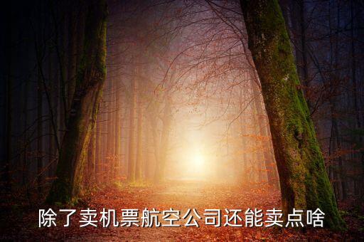 什么叫空地聯(lián)運(yùn)，昆明火車站候機(jī)