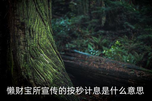 懶財(cái)寶什么時候計(jì)息，懶財(cái)寶T0計(jì)息什么意思