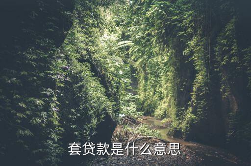 什么是套期，套貸款是什么意思