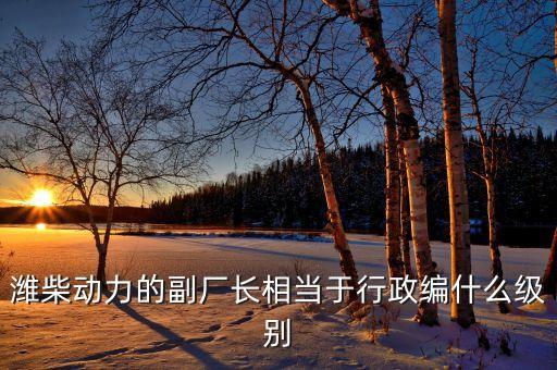 濰柴譚旭光什么級(jí)別，濰柴動(dòng)力股份有限公司董事長是誰