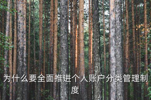 為什么進行賬戶分類，為什么要全面推進個人賬戶分類管理制度
