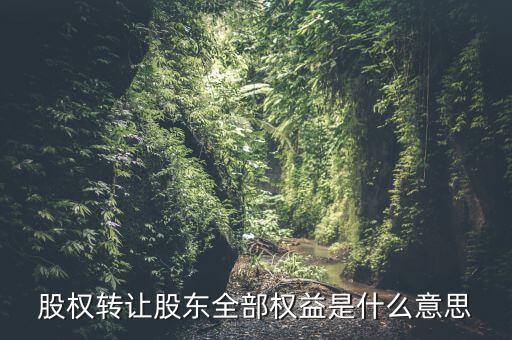 什么是全權(quán)益公司，股權(quán)轉(zhuǎn)讓股東全部權(quán)益是什么意思