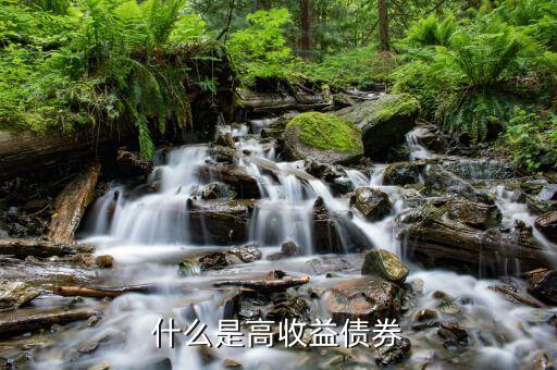 什么是項(xiàng)目收益?zhèn)?，什么是收入債?/></a></span><span id=
