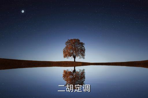 定調什么意思，二胡定調