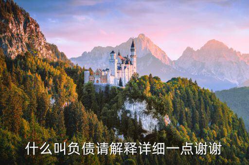 什么叫負(fù)債請解釋詳細(xì)一點謝謝