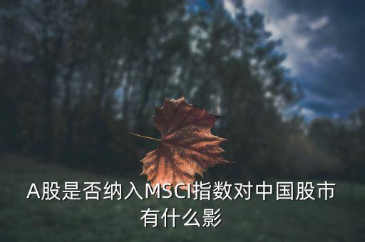 加入明晟指數(shù)有什么用，中國(guó)A股納入明晟會(huì)有什么影響
