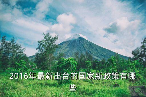 2016年什么新政策，2016年國家有什么新政策
