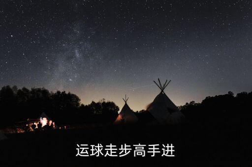 德隆治下的湘火炬戰(zhàn)略不包括什么，德隆治下的湘火炬戰(zhàn)略包括有哪些