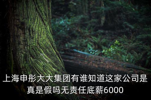 申彤大大集團(tuán)賺的什么錢(qián)發(fā)工資，上海申彤大大集團(tuán)有誰(shuí)知道這家公司是真是假嗎無(wú)責(zé)任底薪6000
