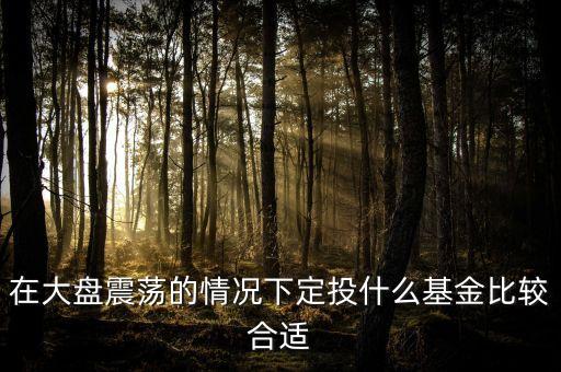 大盤調(diào)整買什么基金好，在大盤震蕩的情況下定投什么基金比較合適