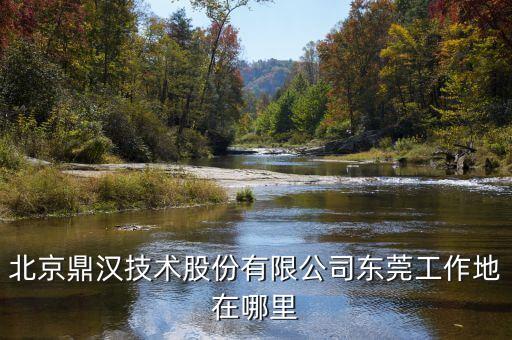 鼎漢技術(shù)主要做什么，北京鼎漢技術(shù)股份有限公司東莞工作地在哪里