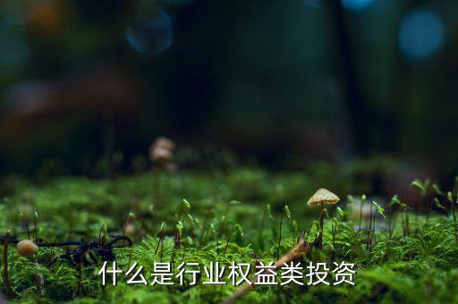 什么是權(quán)益類(lèi)投資產(chǎn)品，權(quán)益類(lèi)投資是什么