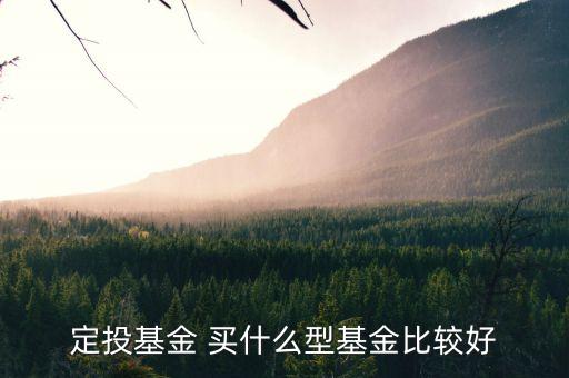 定投基金買什么最好，定投什么基金好