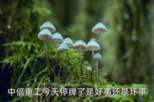 中信重工什么時候復(fù)牌，中信重工今天停牌了是好事還是壞事
