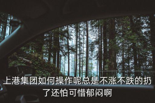 上港集團(tuán)什么級別，上港集團(tuán)振東集裝箱碼頭分公司的介紹