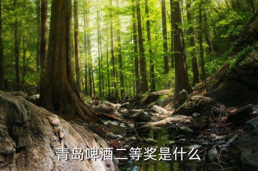 青島啤酒2等獎是什么，請問昨天喝了一瓶青島啤酒上面寫了2等獎是什么意思獎品是什么