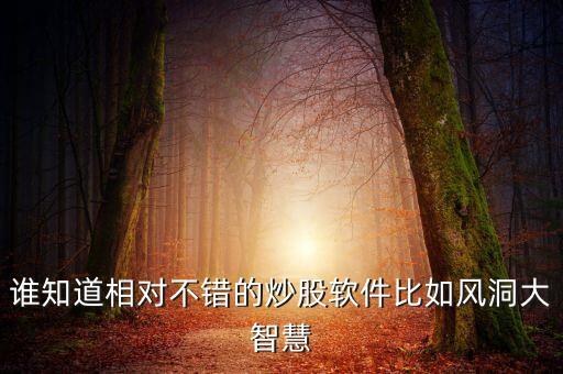 誰(shuí)知道相對(duì)不錯(cuò)的炒股軟件比如風(fēng)洞大智慧