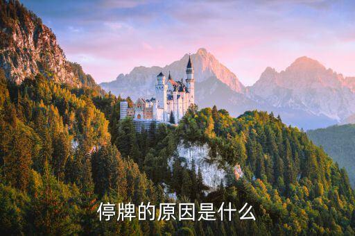 中國巨石為什么停牌，000009今天為何停牌