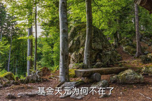 基金天元為什么停牌，基金天元為何不在了