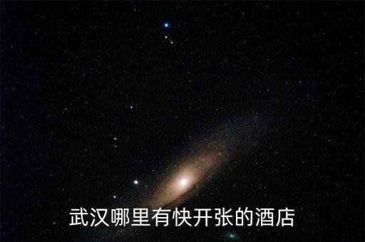 武漢哪里有快開(kāi)張的酒店