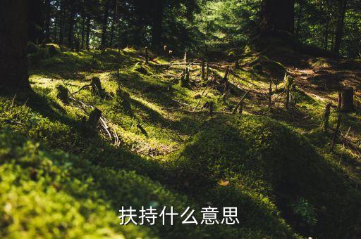 扶持力度什么意思，什么叫扶持扶持是不是等于給予呢