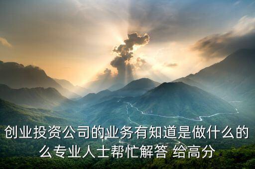 創(chuàng)業(yè)投資公司的業(yè)務有知道是做什么的么專業(yè)人士幫忙解答 給高分
