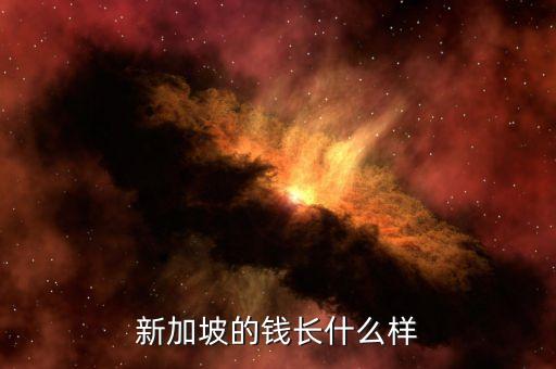 新加坡的錢長(zhǎng)什么樣