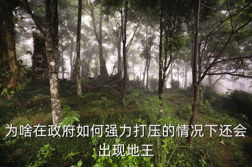 2016年為什么地王頻出，地王頻現(xiàn)傳遞什么信號(hào)