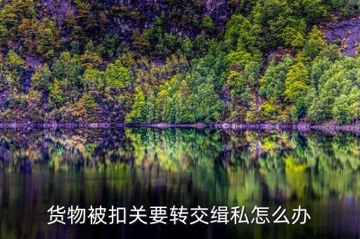 集裝箱被扣緝私需要辦什么手續(xù)，貨物被扣關(guān)要轉(zhuǎn)交緝私怎么辦