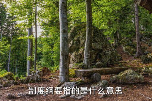 什么是公司綱要，制度綱要指的是什么意思