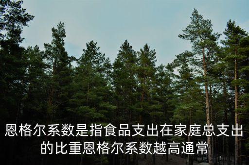 什么是恩格爾系數(shù)法，什么是恩戈?duì)栂禂?shù)