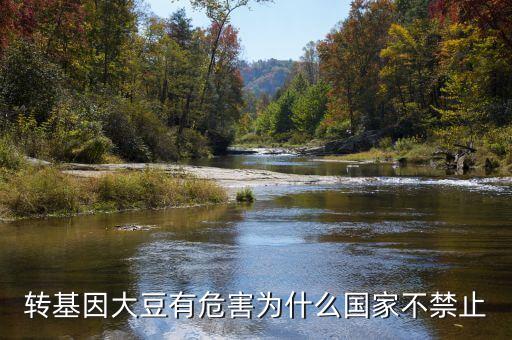 為什么說轉(zhuǎn)基因大豆會致癌，轉(zhuǎn)基因大豆有危害為什么國家不禁止