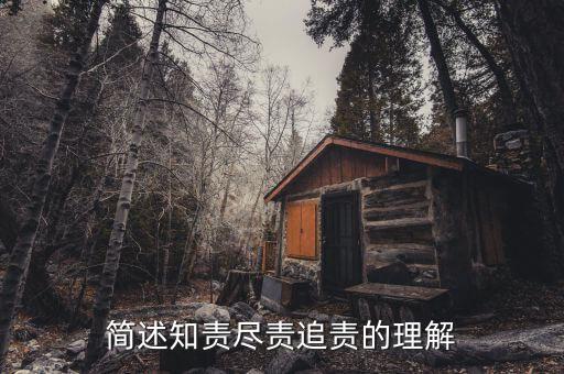什么是追責(zé)，簡(jiǎn)述知責(zé)盡責(zé)追責(zé)的理解