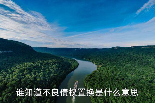 什么是不良資產(chǎn)置換，誰知道不良債權(quán)置換是什么意思