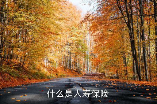 什么叫新型人壽保險，什么是人壽保險