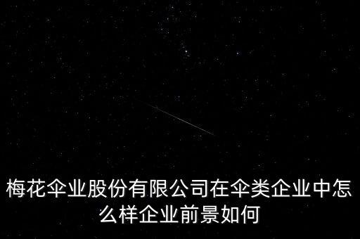 梅花傘業(yè)股份有限公司在傘類(lèi)企業(yè)中怎么樣企業(yè)前景如何