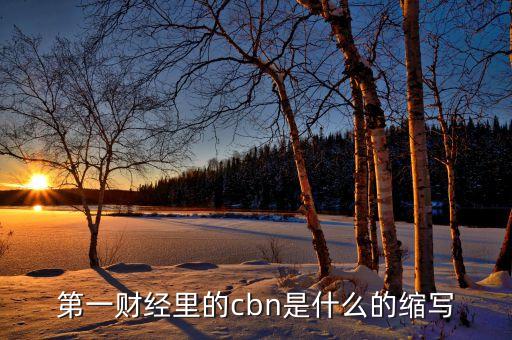 cbn在物流業(yè)中是什么意思，服裝里CBN是什么意思