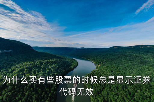 證券代碼無效什么意思，為什么買有些股票的時(shí)候總是顯示證券代碼無效