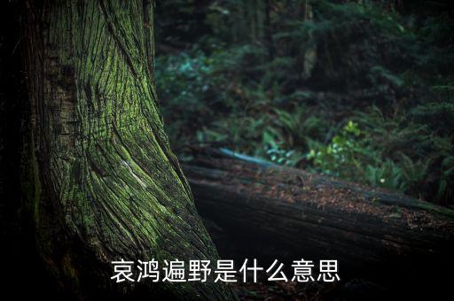哀嚎遍野是什么意思，哀鴻遍野是什么意思