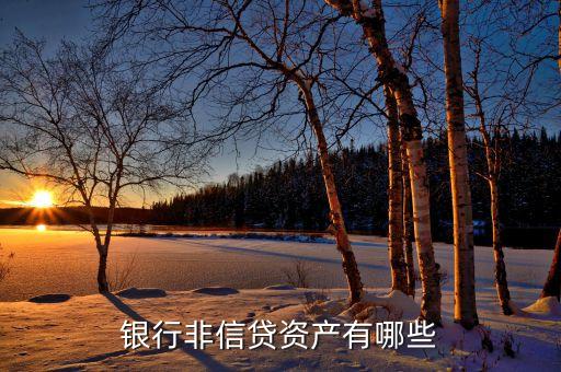 非信貸業(yè)務(wù)是什么，什么是銀行的非信貸資產(chǎn)