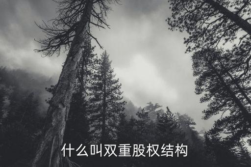 什么是雙層董事會(huì)，家長不提供學(xué)習(xí)費(fèi)用能否貸款