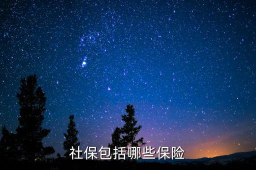 社保保險(xiǎn)保些什么，社會(huì)保險(xiǎn)包括哪些險(xiǎn)