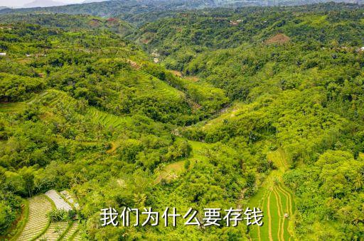 存錢有什么理由，我們?yōu)槭裁匆驽X