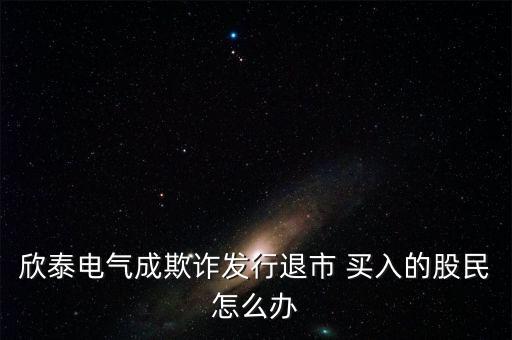 欣泰電氣成立什么公司，丹東欣泰電氣股份有限公司